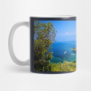 The beauty of Southern Pelion Mug